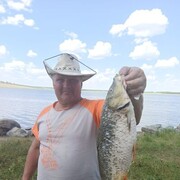 ���������� ������������, ���� ������� �������, 56 ���, ������������ ��� ������, ����� � ���������