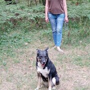  ,   , 57 ,   ,   