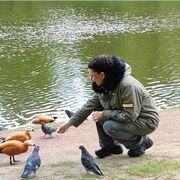 ���������� ������, ���� ������� ����, 49 ���, ������������ ��� ������, ����� � ���������, c�������� ���������