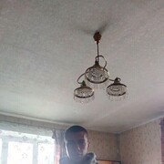 ���������� ��������������, ���� ������� ����, 29 ���, ������������ ��� ����� � ���������, c�������� ���������