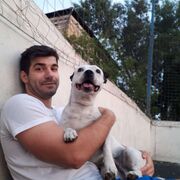 ���������� ������, ���� ������� ������, 31 ���, ������������ ��� ������, ����� � ���������, c�������� ���������, ���������