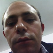  ,   Gulo, 33 ,   ,   , c 