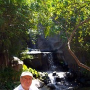 ���������� �����������, ���� ������� ������, 61 ���, ������������ ��� ������, ����� � ���������, c�������� ���������