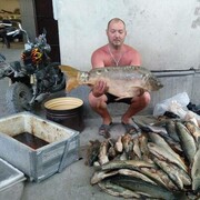 ���������� �����������, ���� ������� ������, 47 ���, ������������ ��� ������, ����� � ���������, c�������� ���������, ���������