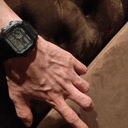 ���������� �����-���������, ���� ������� Hamid, 36 ���, ������������ ��� ������, ����� � ���������