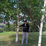 -,   , 38 ,   ,   