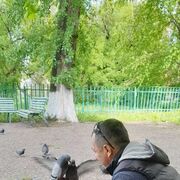 ���������� ������, ���� ������� ����, 44 ����, ������������ ��� ������, ���������