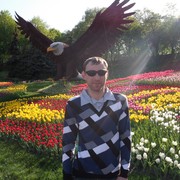  ,   , 40 ,   