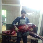 ���������� ������, ���� ������� ������, 55 ���, ������������ ��� ������, ����� � ���������, c�������� ���������, ���������