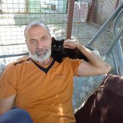  ,   , 54 ,   ,   