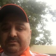  --,   , 41 ,   ,   