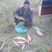   ,   , 54 ,   