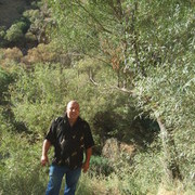  ,   GAG, 55 ,   , 