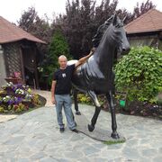 ���������� ����������� ����, ���� ������� ������, 41 ���, ������������ ��� ������, ����� � ���������