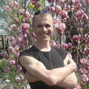  ,   Saxon, 49 ,   