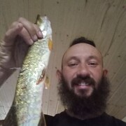  -,   , 36 ,   ,   