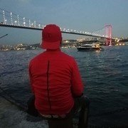  ,   Mishka, 40 ,  