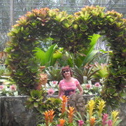  ,   , 56 ,   ,   , c 