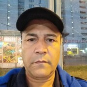 -,   , 51 ,   