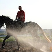 ���������� ������, ���� ������� Konekrad, 35 ���, ������������ 