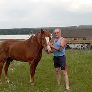 ���������� ����, ���� ������� ������, 62 ����, ������������ ��� ������, ����� � ���������