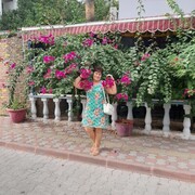  -,   , 58 ,   ,   