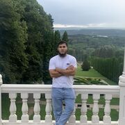  ,   ARBO, 29 ,   ,   , 