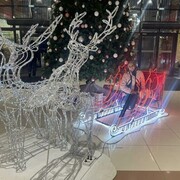 ���������� �������, ���� ������� ����, 31 ���, ������������ ��� ����� � ���������, c�������� ���������