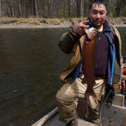 ���������� ������, ������� �������, 44