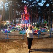 ���������� �������, ���� ������� ������, 49 ���, ������������ ��� ������, ����� � ���������, c�������� ���������