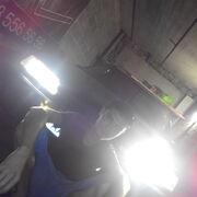 ���������� ����, ���� ������� ����, 36 ���, ������������ ��� ������, ����� � ���������