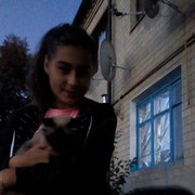 ���������� ����, ���� ������� ��������, 24 ����, ������������ ��� ������, ����� � ���������, c�������� ���������