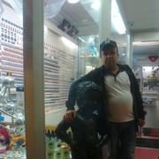  Rotselaar,  , 46