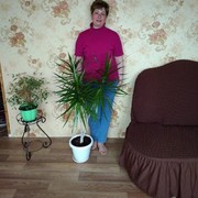  ,   , 50 ,   ,   , c 