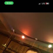 ���������� �������-�����, ���� ������� ������, 37 ���, ������������ ��� ������, ����� � ���������, c�������� ���������, ���������