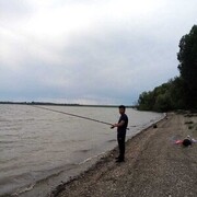 ���������� �����������, ���� ������� ����, 26 ���, ������������ 