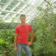 ���������� �����, ���� ������� Sergei, 39 ���, ������������ ��� ������