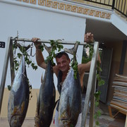 ���������� ���������, ������� ����, 45