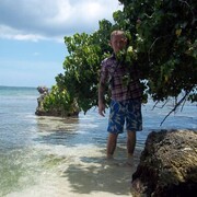 ���������� �����, ���� ������� �������, 37 ���, ������������ ��� ������, ����� � ���������, c�������� ���������