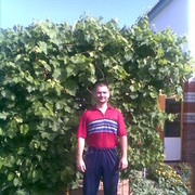 ���������� �������, ���� ������� ������, 46 ���, ������������ ��� ������