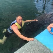 ���������� ������, ���� ������� �����, 38 ���, ������������ ��� ������, ����� � ���������, c�������� ���������, ���������