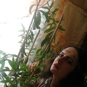  ,   , 33 ,     , c 