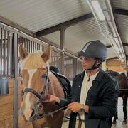 ���������� ����������, ���� ����� �������, 22 ����, ������������ ��� ������, ����� � ���������