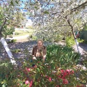 ���������� ���������, ���� ������� ����, 65 ���, ������������ ��� c�������� ���������