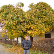   ,   , 32 ,     , c 