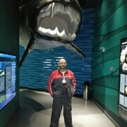 ���������� ��������, ���� ������� ����������, 44 ����, ������������ ��� ������, ����� � ���������