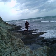 ���������� ������, ���� ������� Mitula, 50 ���, ������������ ��� ������, ����� � ���������, c�������� ���������