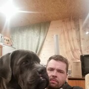  ,   , 39 ,  