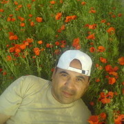  ,   , 55 ,   