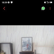 ���������� �������, ���� ������� �������, 47 ���, ������������ ��� ������, ����� � ���������